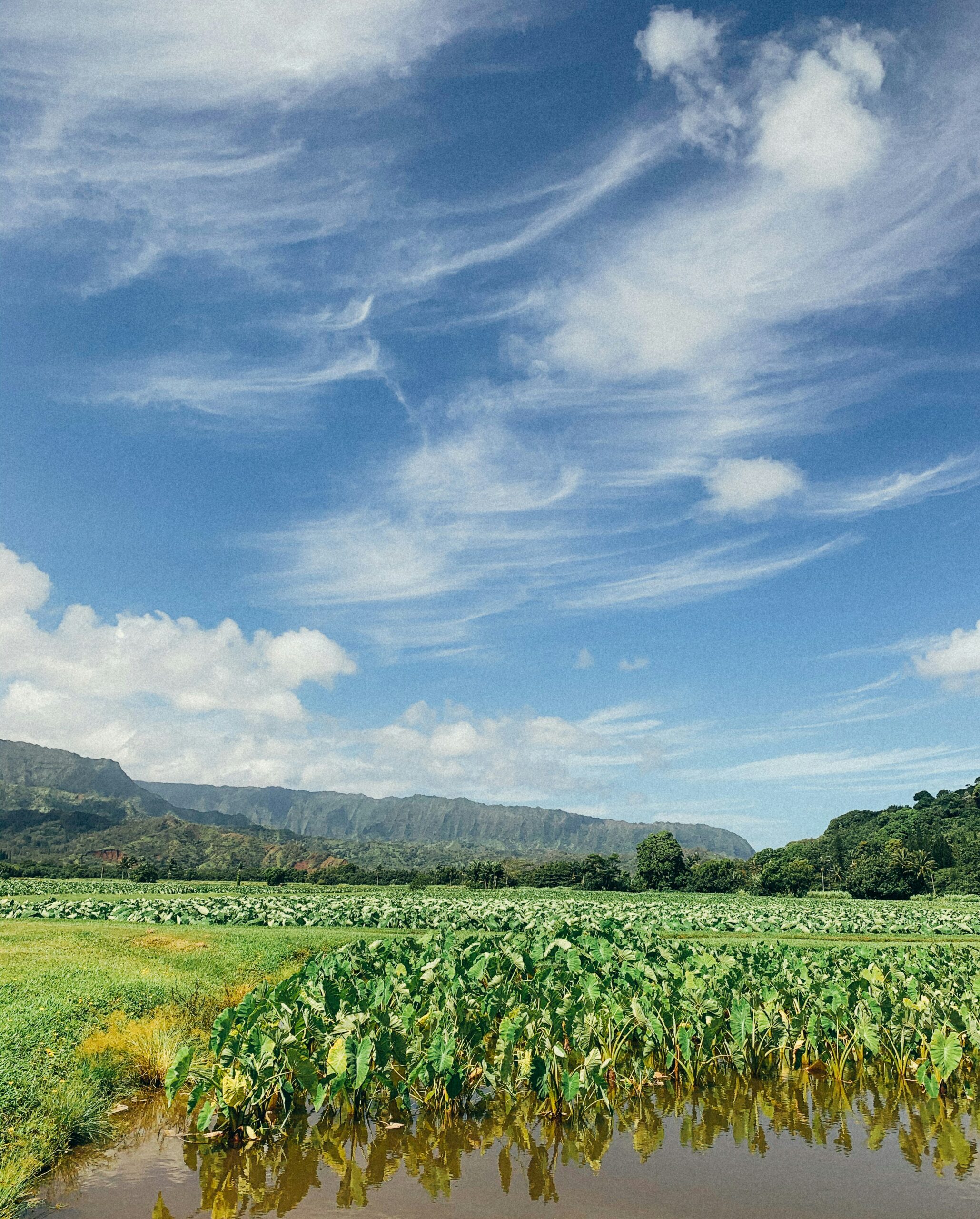 Agricultural Farm Expansion Grant